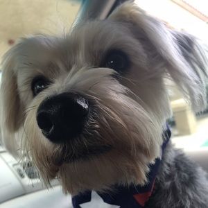 Meet your Posher, Veronica