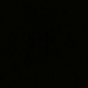 Meet your Posher, Kenny