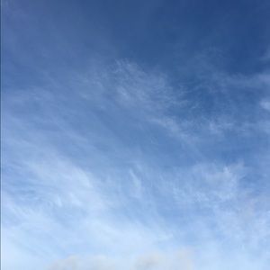 Meet your Posher, Priscilla