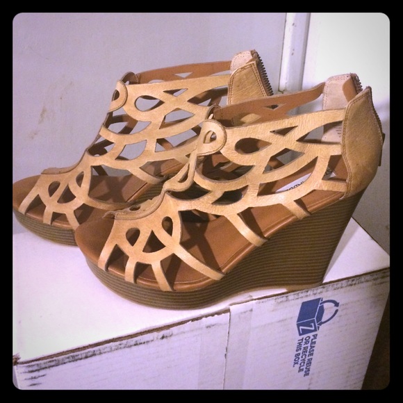 Size 11 Steve Madden