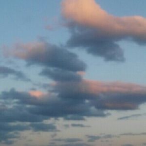 Meet your Posher, Dee