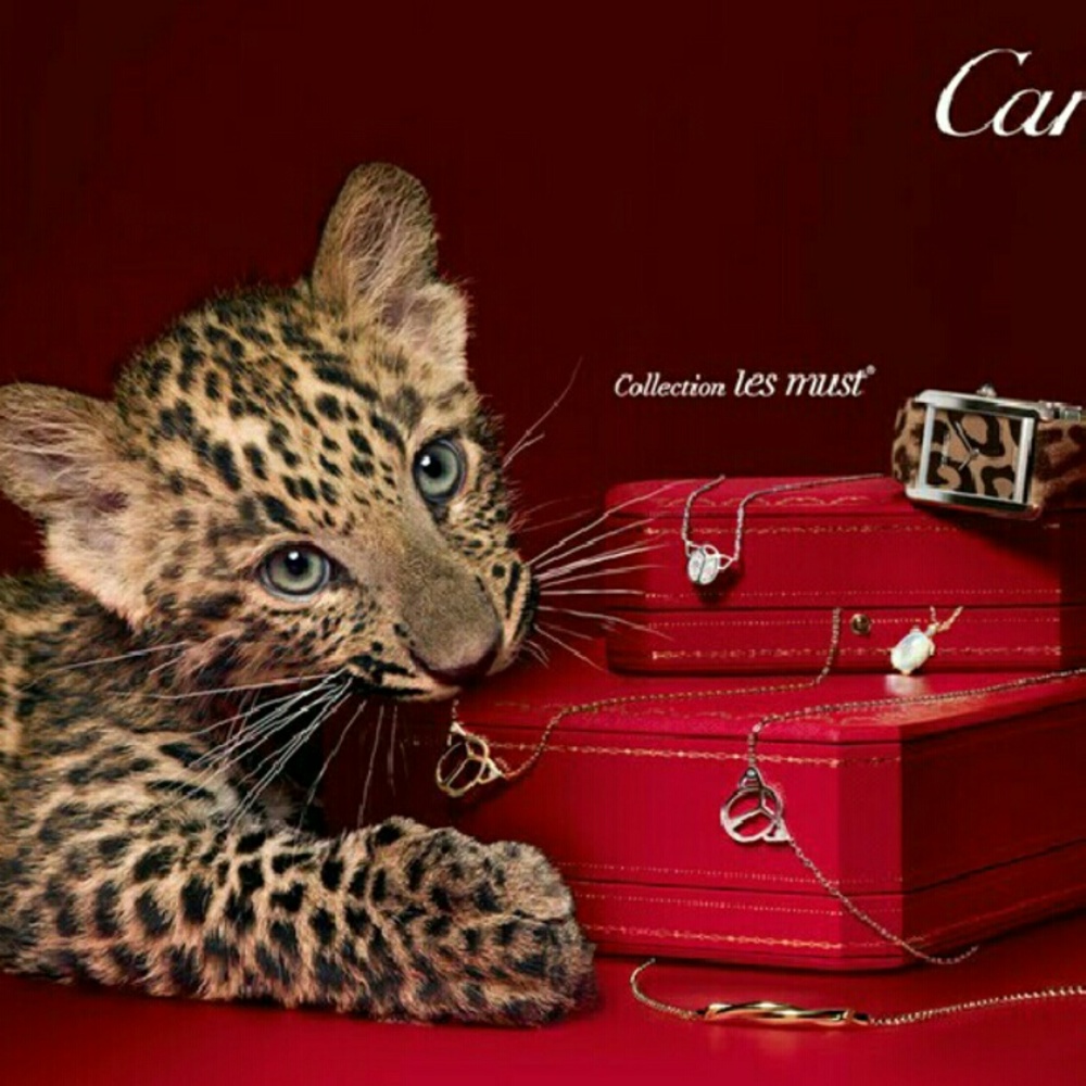 Super Fast Shipper - $$Reasonable Offers Accepted