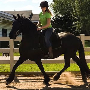 Meet your Posher, Alison