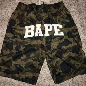 Bape x Champion Shorts