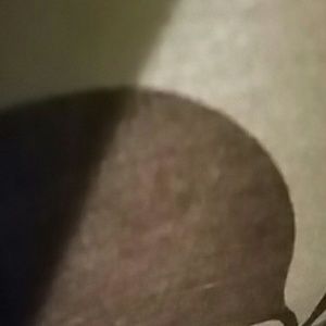 Meet your Posher, Juana