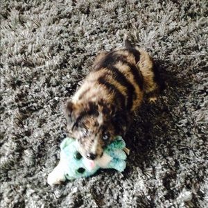 Meet your Posher, Emily