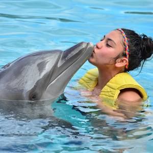 Meet your Posher, Terrie