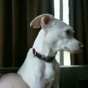 Meet your Posher, Mary