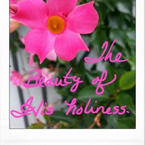 Meet your Posher, Anne