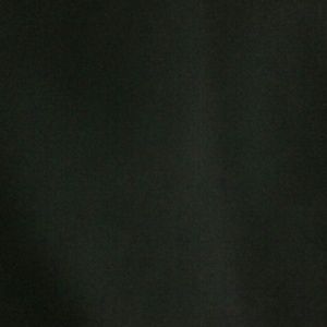 Meet your Posher, Ronnie