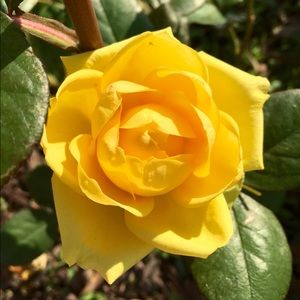 Meet your Posher, Ivana