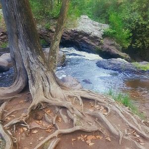 Meet your Posher, Dorothy