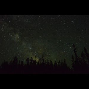 Meet your Posher, Ellen