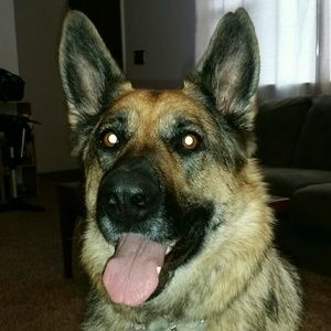 Meet your Posher, Karianne