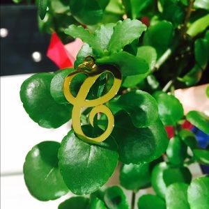 Custom made Yellow Gold letter C.