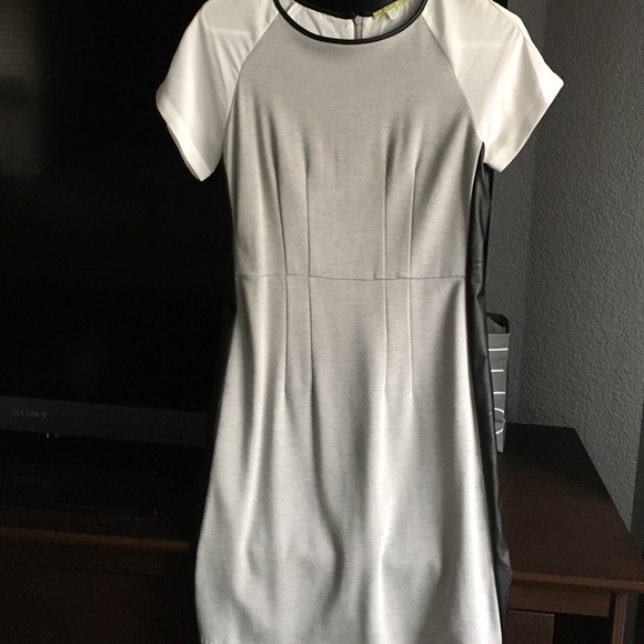 Gianni Bini gray dress