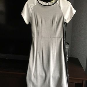 Gianni Bini gray dress
