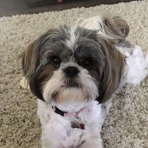 Meet your Posher, Nicole