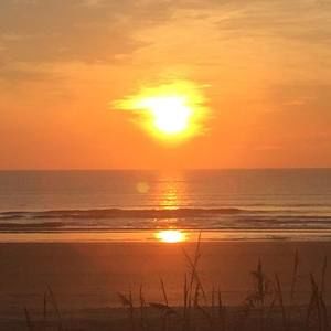 Meet your Posher, Shari