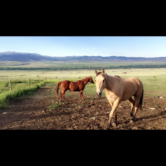 Meet your Posher, Courthey