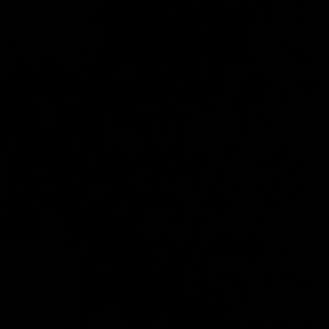 Meet your Posher, Cynthia