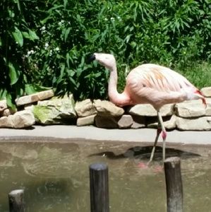 Meet your Posher, Kara