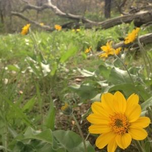 Meet your Posher, Kirsten