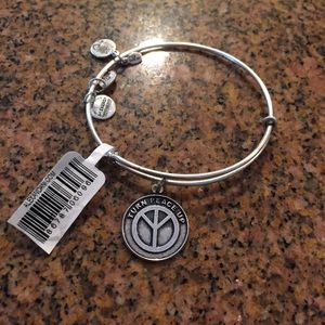 Alex & Ani silver bangle