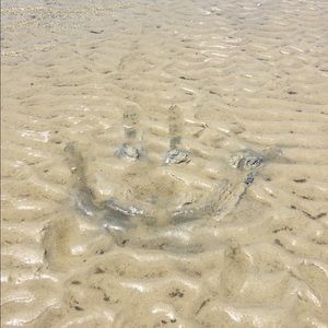 Meet your Posher, Betty