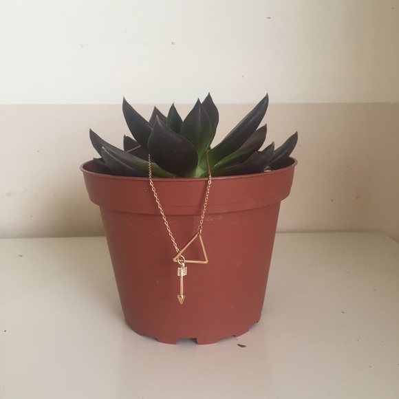 Brandy Melville Jewelry - Brandy Melville Gold Triangle and arrow necklace