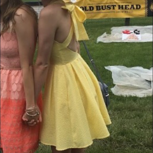 Lauren James Livingston Solid Seersucker Dress - Picture 3 of 3