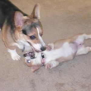 Meet your Posher, Claudia