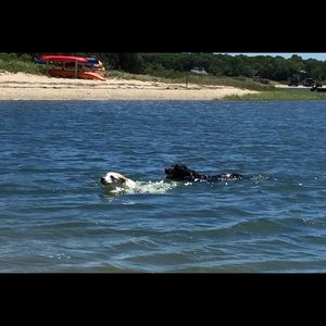 Meet your Posher, Vicki