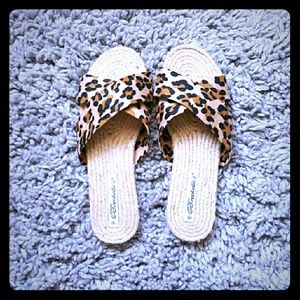 Summer Flats