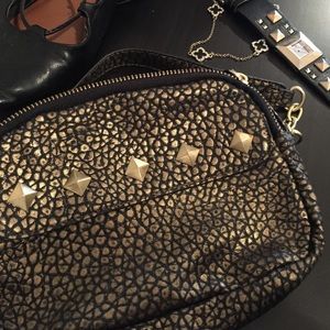 Dual Pocket Dusted Gold Stud Mini Bag