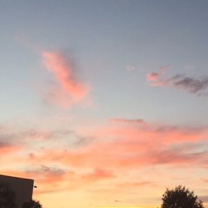 Meet your Posher, Madeline