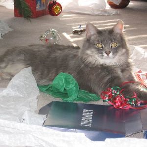 Meet your Posher, Diane