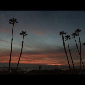 Meet your Posher, Monica