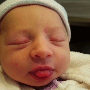 Meet your Posher, Barbara