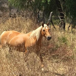 Meet your Posher, Daniela