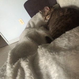 Meet your Posher, Jada