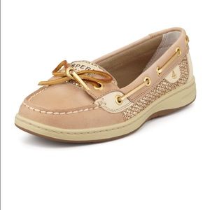 gold sperry angelfish