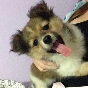 Meet your Posher, Carley