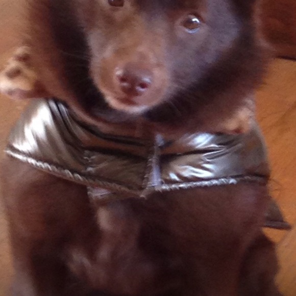 Meet your Posher, Laura