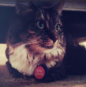 Meet your Posher, Brandy