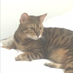 Meet your Posher, Tammy