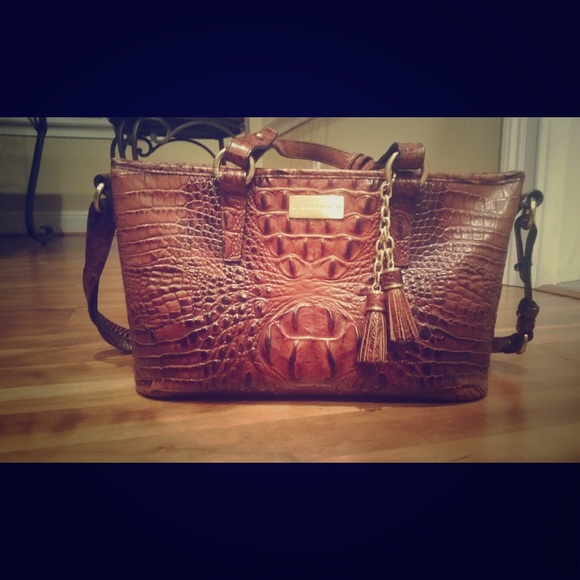 Brahmin purse