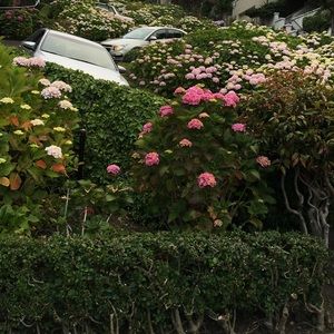 Meet your Posher, Nida