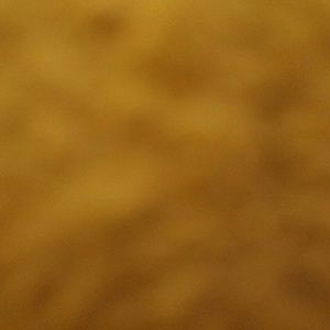 Meet your Posher, Shawn