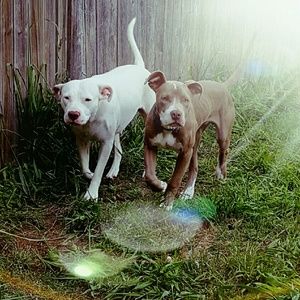 Meet your Posher, Kara